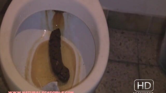 Huge poop in nasty public toilet