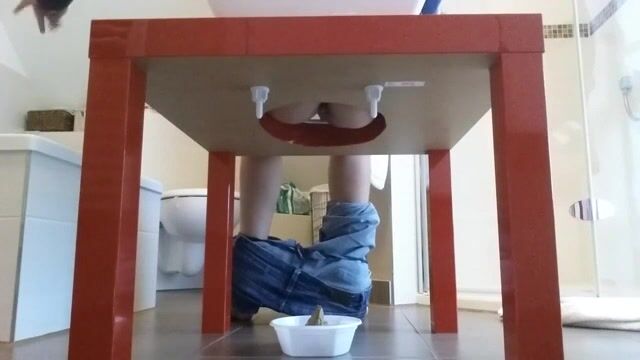 Home made toilet