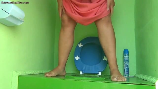 Big squat poop on toilet